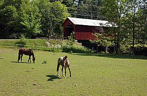 LOWER COX BROOK COVERED BRIDGE