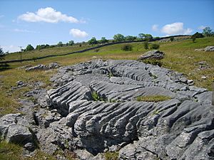 Limestone Pavement - geograph.org.uk - 1351566