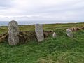 Lundy inscribed stones