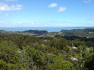 Manukau Harbour Scenic Drive