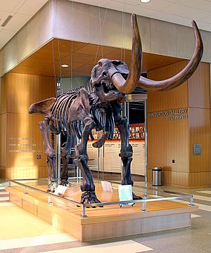 Mastodon-nd-heritage-center