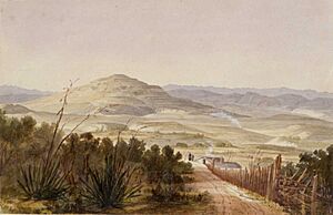 Mount Albert Ōwairaka 1845 (cropped)