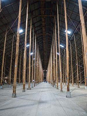 Murtoa Stick Shed (2)