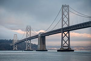 Oakland Bay Bridge Western Part.jpg