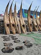 Peruvian fishing boats