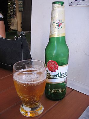 Pilsner Urquell 2