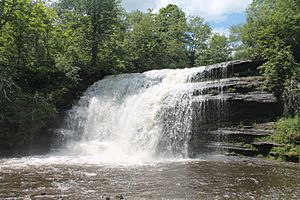 Pixley Falls 20130630.jpg