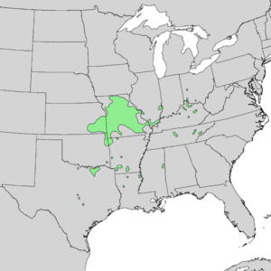 Prunus rivularis range map 2.png