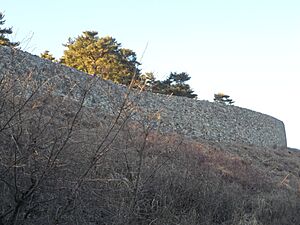 Pyewangseong1