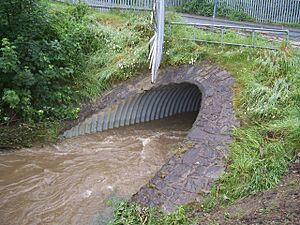 River flooding in clayton west