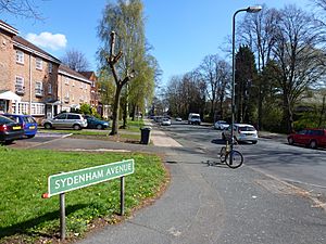 Sydenham Avenue SE26.JPG