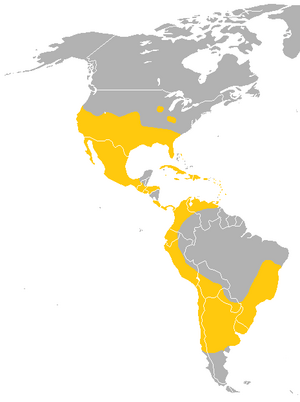 Tadarida brasiliensis Range.png