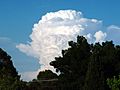 Wagga-Cumulonimbus