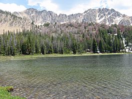 4th July Lake.JPG