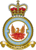 Squadron badge