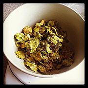 Amarillo hops