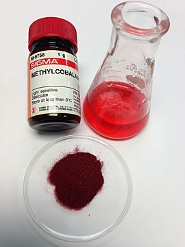 B12 methylcobalamin