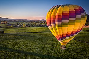 Ballooning In Napa (129976155)