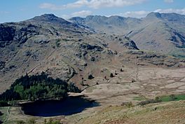 Blea Tarn Lingmoor Fell.jpg