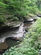 Buttermilk Falls 1