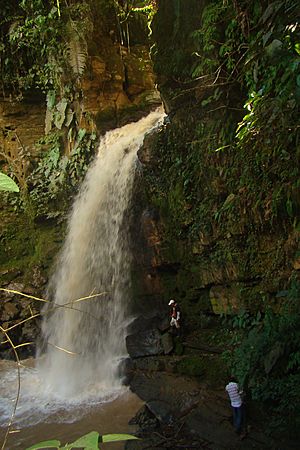 Cascada Chumpiankas Hike, Logroño