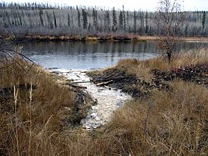 Clearwater River Salt Spring