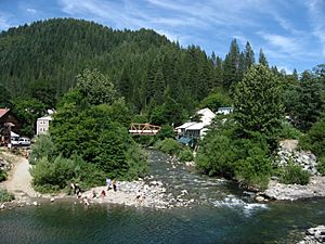 Downieville CA