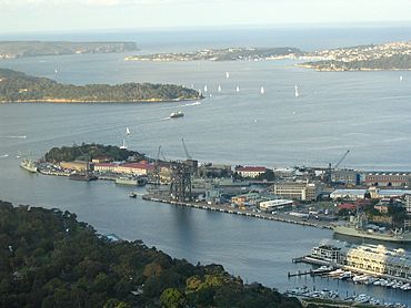 Garden Island from Sydney Tower.jpg