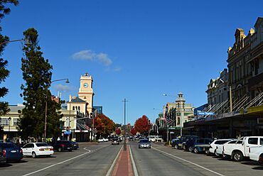 Goulburn Auburn Street 001.JPG