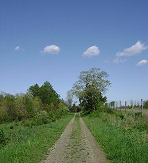 Holmdel Park-Steeplechase Trail