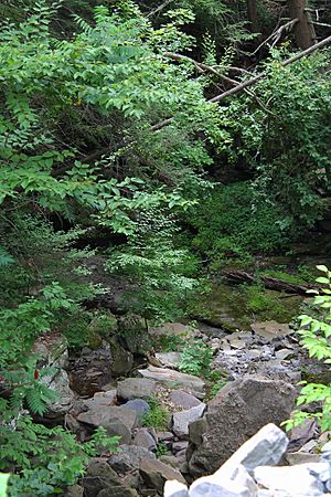 Kern Glen Creek looking downstream