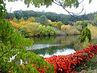 Mt Lofty Bot Garden 033