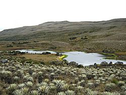 Paramo zumapas