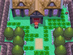 Pokémon Platinum Battle Tower