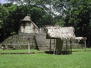 Ruines El Ceibal