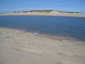 Scolt Head Island from Gun Hill - geograph.org.uk - 428610.jpg