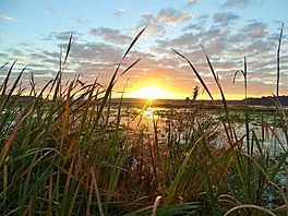 Sunrise on Rodman Reservoir.jpg