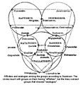 SwainsonQuinarian