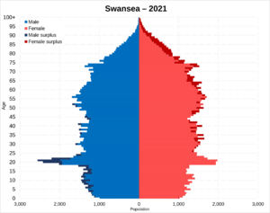 Swansea population pyramid 2021