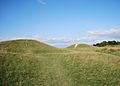 The Devil's Humps - geograph.org.uk - 1503594