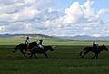 Three Naadam riders