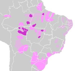 Tupi languages