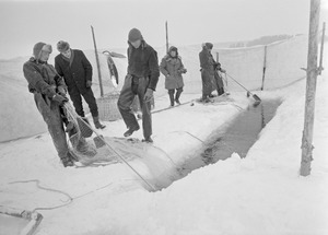 Vendace seine 1960 (JOKAMT2Ka01-10)