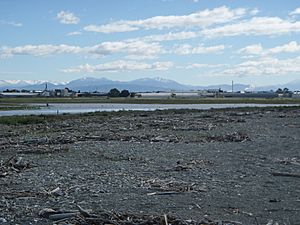 Washdyke Lagoon Barrier