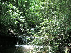 WaterFallsTableRockStatePark