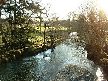 Afon Dwyfor - geograph.org.uk - 90520.jpg