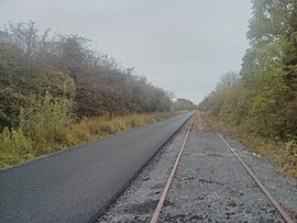 Athlonemullingarcycleway4809485 02