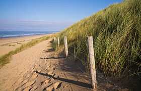 Autumn Beach (29881666014)