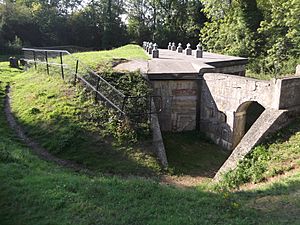 Box Hill Fort