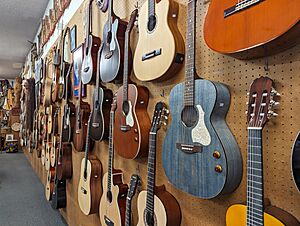 Claremont Folk Music Center guitars